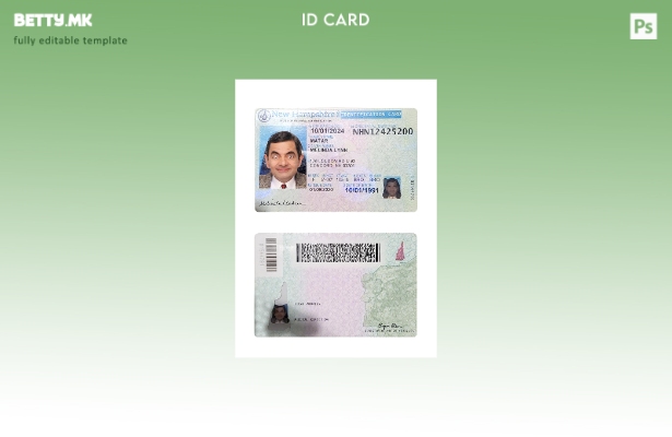 Модерен стил шаблон за лична карта на САД Њу Хемпшир